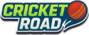 Cricket Road game